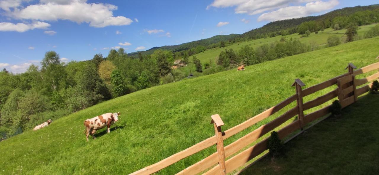 Goralskie Domki Na Podhalu - Z Jacuzzi Maniowy Buitenkant foto