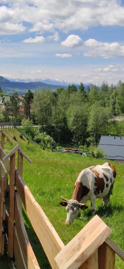 Goralskie Domki Na Podhalu - Z Jacuzzi Maniowy Buitenkant foto